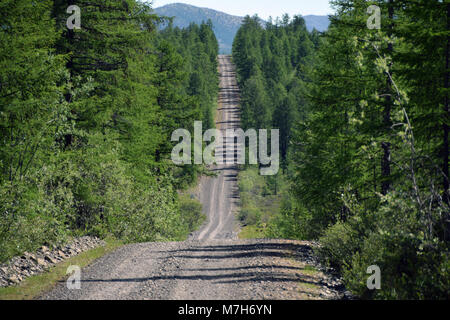 Qui la Kolyma autostrada va straightful attraverso la taiga, vicino al piccolo villaggio di Maralayy, a est di Yakutsk. Foto Stock