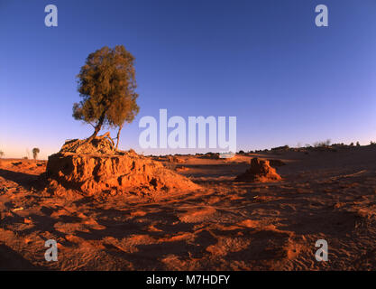 Il Mungo National Park è protetto da un parco nazionale che si trova nella parte sud-occidentale del Nuovo Galles del Sud, in Australia orientale. Foto Stock