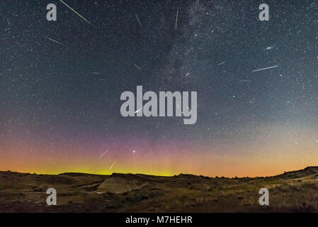 Perseid Meteor doccia presso il Parco Provinciale dei Dinosauri, Alberta, Canada. Foto Stock