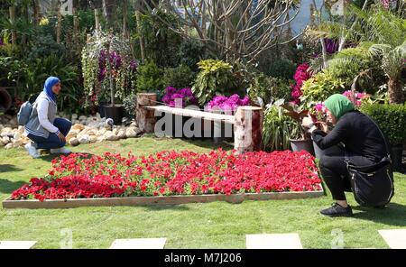 Il Cairo, Egitto. Decimo Mar, 2018. Gli egiziani visita il fiore di primavera mostra tenutasi a Orman Giardino Botanico di Giza in Egitto, il 10 marzo 2018 Credit: Sayed Amr/immagini APA/ZUMA filo/Alamy Live News Foto Stock