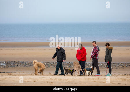 Flintshire, Wales, Regno Unito un caldo pomeriggio di sole del tardo sulla costa settentrionale del Galles con una famiglia di proprietari di cani godendo di una passeggiata domenica per la festa della mamma a Talacre beach, Flintshire, Galles con i loro cani Foto Stock