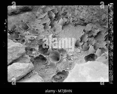 Gli scavi. Ain Shems (Beth-scemesh) sulla Pianura di Sharon. Relitto di un antico armadio da Salomone il momento. Scavati nel 1933 matpc LOC.15684 Foto Stock