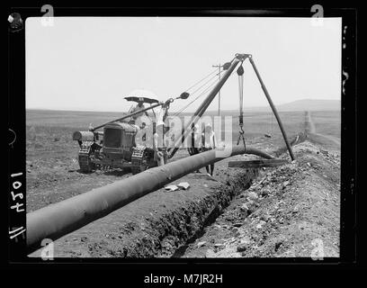 Posa del Iraq Petroleum Company la tubazione per tutta la pianura di Esdraelon, luglio 1933. La caduta di tubo saldato in trincea. Per mezzo del trattore gru matpc LOC.15776 Foto Stock