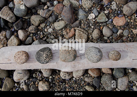 Cinque spiaggia rocce lisce strofinata dalle maree e disposte su un log sulla Costa del Sole della British Columbia, Canada. Foto Stock