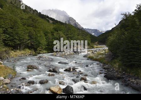 Fiume scorre lungo la Valle Asencio vicino Refugio Chileno nel Parco Nazionale Torres del Paine, Patagonia, Cile Foto Stock