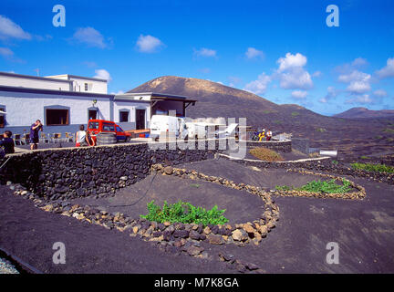 Cantina dei vini. La Geria, Lanzarote, Isole Canarie, Spagna. Foto Stock