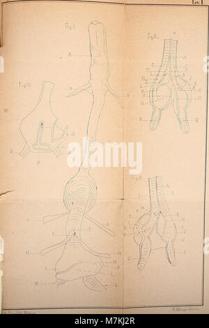 Il volume del 1883 di "atti della Società dei naturalisti e matematici di Modena" comprende articoli di ricerca su storia naturale, matematica e scienze fisiche di studiosi italiani. Foto Stock