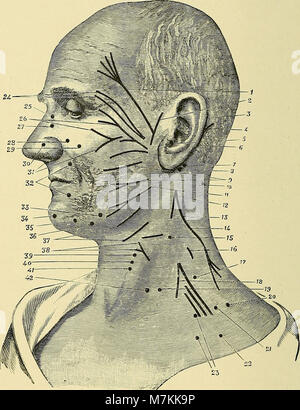 Un manuale pratico di elettricità medica - i raggi röntgen e Finsen luce (1902) (14803543853) Foto Stock