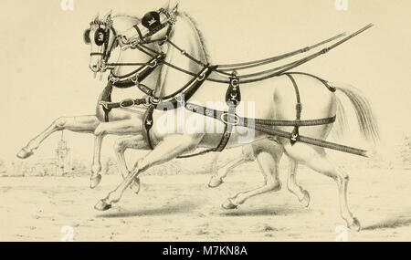 "Centaur" - o il "giro", una pratica trattato sul (umana) gestione di cavalli, sia nel sistema di cavi, sella, o stabile; con accenni rispettando il cablaggio-camera, coach-house, &c. (1878) (14594894780) Foto Stock