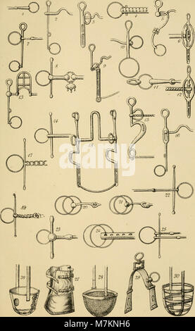 "Centaur" - o il "giro", una pratica trattato sul (umana) gestione di cavalli, sia nel sistema di cavi, sella, o stabile; con accenni rispettando il cablaggio-camera, coach-house, &c (1885) (20399980760) Foto Stock