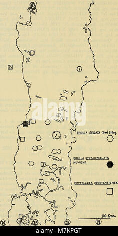 Boletim de la Sociedad de Biología de Concepción (1975) (20379464142) Foto Stock
