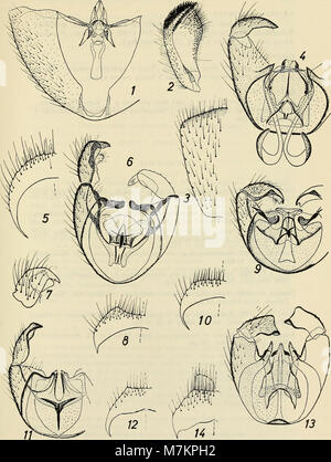 Boletim de la Sociedad de Biología de Concepción (1983) (20200171548) Foto Stock