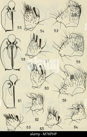 Boletim de la Sociedad de Biología de Concepción (1983) (20362207876) Foto Stock