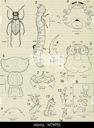 Boletim de la Sociedad de Biología de Concepción (1983) (20388484655) Foto Stock