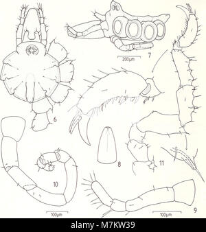 Il volume del 1992 di Bonner zoologische Beiträge del Zoological Research Institute and Museum Alexander Koenig, Bonn, presenta ricerche zoologiche peer-reviewed che coprono tassonomia, ecologia e sistematica animale. Foto Stock