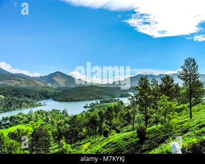 THEKKADI, Kerala, India - DEC. 15 2011: bellissimo paesaggio con colorati bosco selvatico e il fiume del Periyar, Thekkadi, Kerala, in India. Foto Stock