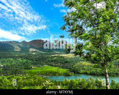 THEKKADI, Kerala, India - DEC. 15 2011: bellissimo paesaggio con colorati bosco selvatico e il fiume del Periyar, Thekkadi, Kerala, in India. Foto Stock