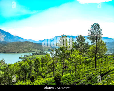 THEKKADI, Kerala, India - DEC. 15 2011: bellissimo paesaggio con colorati bosco selvatico e il fiume del Periyar, Thekkadi, Kerala, in India. Foto Stock