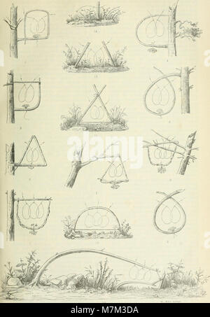 Allgemeine Encyklopädie der gesammten forst- und Jagdwissenschaften. Unter Mitwirkung der bedeutendsten Fachautoritäten (1886) (14749569515) Foto Stock