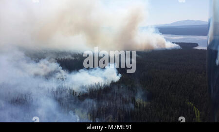 Wildfire nel parco Wildfire fire Foto Stock