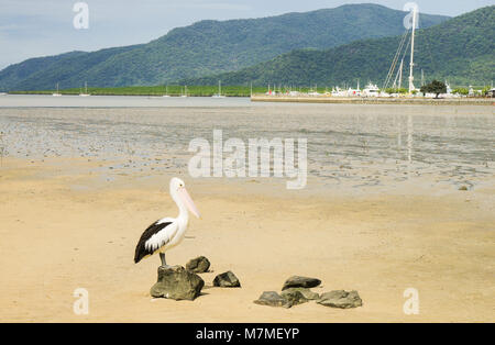 Cairns Foto Stock