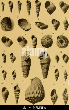 Il volume del 1901 di 'Annales de la Société Royale Malacologique de Belgique' compila ricerche sui molluschi, affrontando la tassonomia, la morfologia delle conchiglie e la distribuzione geografica. Foto Stock