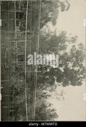 Questa pubblicazione si concentra sull'arboricoltura, coprendo lo studio, la coltivazione, la gestione e la cura degli alberi per scopi scientifici e pratici. Foto Stock