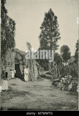 La pubblicazione intitolata "Arboriculture" si concentra sullo studio, la coltivazione e la gestione degli alberi, sottolineando approcci scientifici e pratici alla crescita degli alberi, alla salute e alla cura. Foto Stock