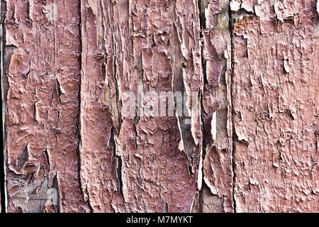 Peeling vecchio sfald vernice su una vecchia parete in legno Foto Stock