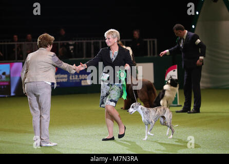 Stuzzicato il Whippet, con proprietario Yvette breve dopo che essa è stata nominata campionessa suprema durante il giorno finale di Crufts 2018 al NEC di Birmingham. Foto Stock