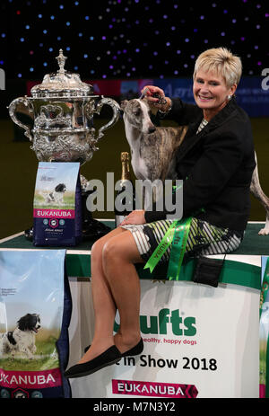 Stuzzicato il Whippet, con proprietario Yvette breve dopo che essa è stata nominata campionessa suprema durante il giorno finale di Crufts 2018 al NEC di Birmingham. Foto Stock