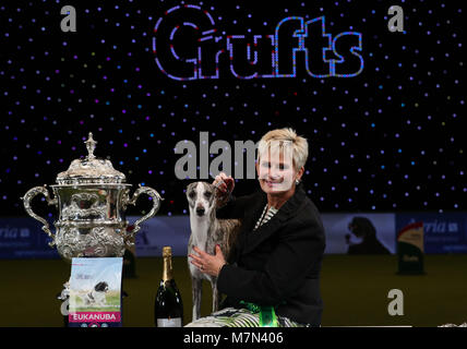 Stuzzicato il Whippet, con proprietario Yvette breve dopo che essa è stata nominata campionessa suprema durante il giorno finale di Crufts 2018 al NEC di Birmingham. Foto Stock