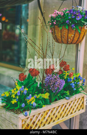 Pansies colorati, tulipani e altri fiori per le strade di Boston, negli Stati Uniti d'America. Tali vasi di fiori possono essere trovati in tutta la c Foto Stock