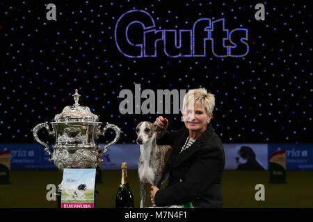 Stuzzicato il Whippet, con proprietario Yvette breve dopo che essa è stata nominata campionessa suprema durante il giorno finale di Crufts 2018 al NEC di Birmingham. Foto Stock