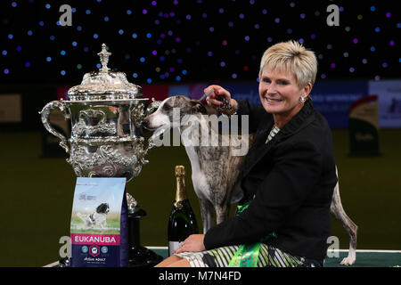 Stuzzicato il Whippet, con proprietario Yvette breve dopo che essa è stata nominata campionessa suprema durante il giorno finale di Crufts 2018 al NEC di Birmingham. Foto Stock