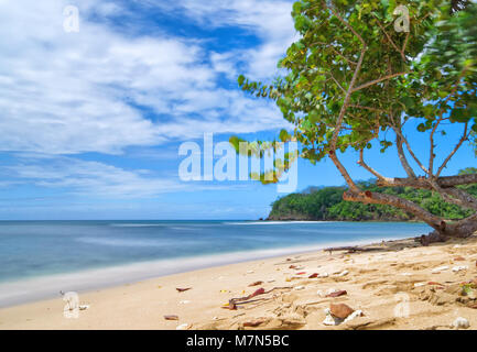 Repubblica di Trinidad e Tobago - isola di Tobago - Mt. Irvine bay - spiaggia tropicale del Mar dei Caraibi Foto Stock