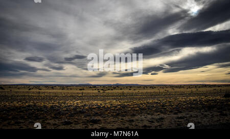 Tramonto sulla steppa della Patagonia, tra El Calafate, in Argentina e in Puerto Natales, Cile Foto Stock