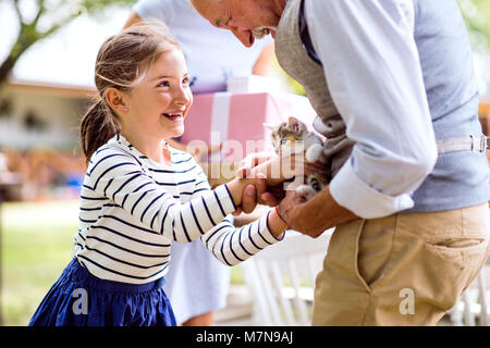 Festa in famiglia o un party in giardino al di fuori nel cortile. Foto Stock