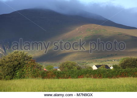 Bella la luce del mattino si muove attraverso una sonnolenta di sezione della penisola di Dingle vicino al castello di gregorio Foto Stock