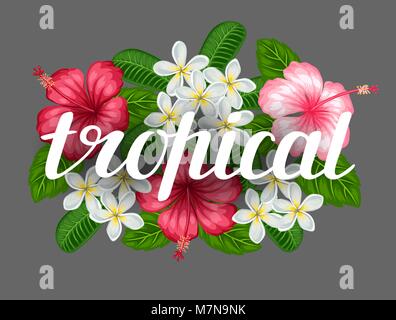 Sfondo con fiori tropicali hibiscus e plumeria. Immagine per il design su t-shirts, stampe, inviti e biglietti di auguri, poster Illustrazione Vettoriale