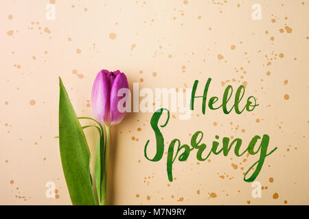 Ciao primavera la frase e fiore laici piana. Foto Stock
