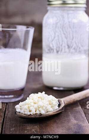 Il Kefir freschi cereali e latte. Il Kefir è uno dei top salute alimenti disponibili fornendo potenti probiotici. Si tratta di colture di lieviti e batteri usano t Foto Stock