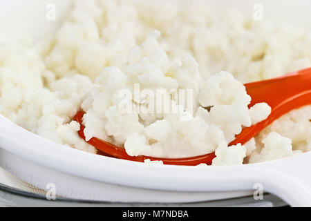 Cucchiaio di fresco grani Kefir. Il Kefir è uno dei top salute alimenti disponibili fornendo potenti probiotici. Si tratta di colture di lieviti e batteri us Foto Stock