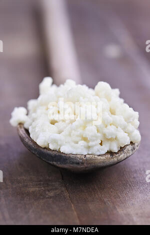 Fresco di grani Kefir. Messa a fuoco selettiva con estrema profondità di campo. Il Kefir è uno dei top salute alimenti disponibili fornendo potenti probiotici. Foto Stock