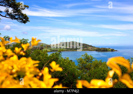 Bellissimo paesaggio delle isole Figi isola durante l'alta marea con fiori giallo, alberi e cespugli in primo piano e oceano con le colline verdi e bianche nuvole in Foto Stock