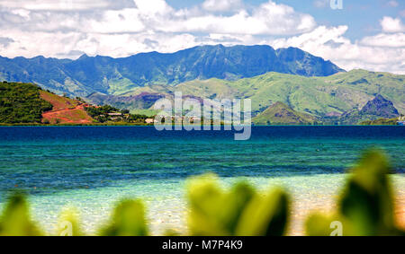 Bellissimo paesaggio delle isole Figi isola durante la bassa marea con foglie verdi in primo piano e oceano con verdi colline, montagna e nuvole bianche in background Foto Stock