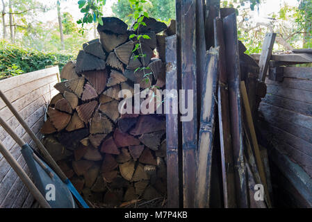 Una pila di legno tagliato essiccazione per uso in una casa caminetto a Sydney in Australia Foto Stock