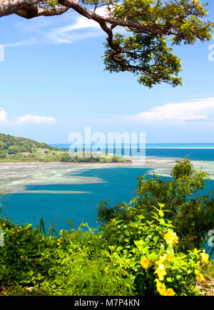 Bellissimo paesaggio delle isole Figi isola durante la bassa marea con fiori gialli, boccole e albero in primo piano e oceano con coralli in background. Foto Stock