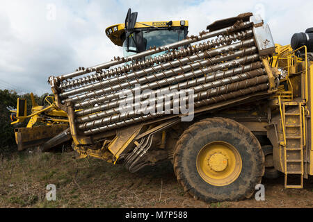 Ropa Euro Nido 4 barbabietola da zucchero loader Foto Stock