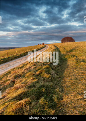 Win verde, Dorset. Win verde, il punto più alto di a Cranborne Chase, offre una vista panoramica sulla valle di Wardour. Foto Stock